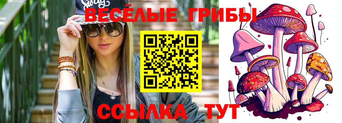 сколько стоит  Вход с VPN  Феодосия  Галлюциногенные грибы Magic Shrooms 
